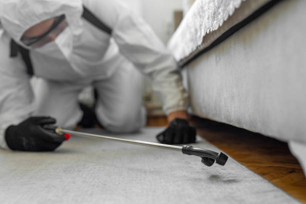Professional Termite Control technician working in Woodsfield, OH