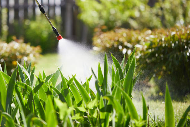 24/7 Emergency Termite Control experts in Woodsfield, OH